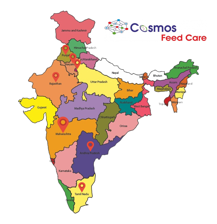 Cosmos Feed Care